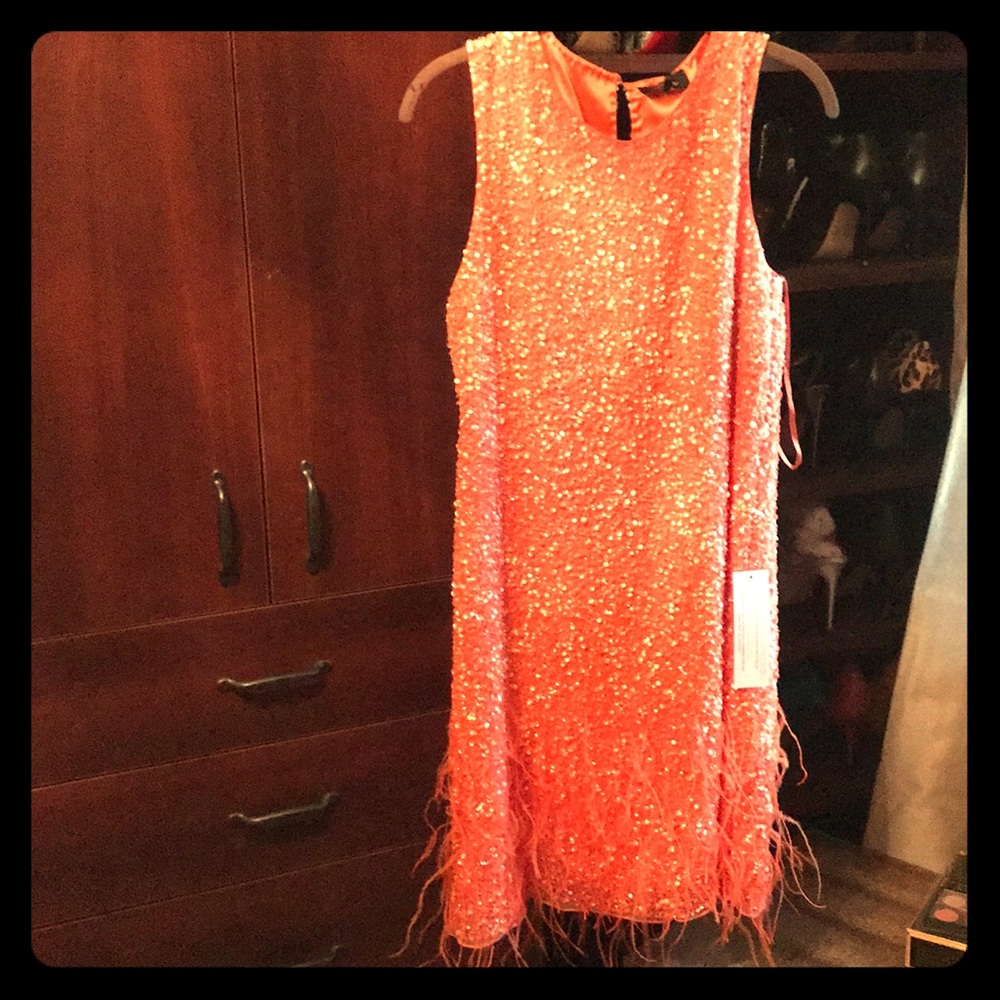 NWT Parker Black Peach Sequin and feather dress